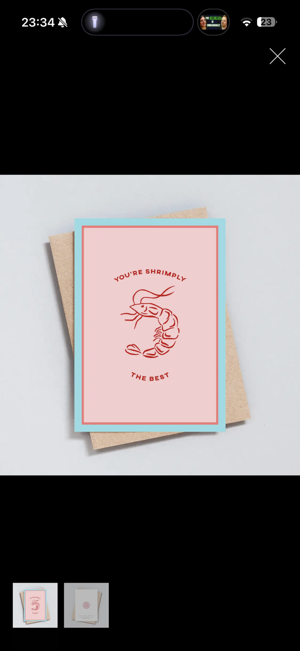 You’re Shrimply the Best