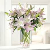 Lily Vase